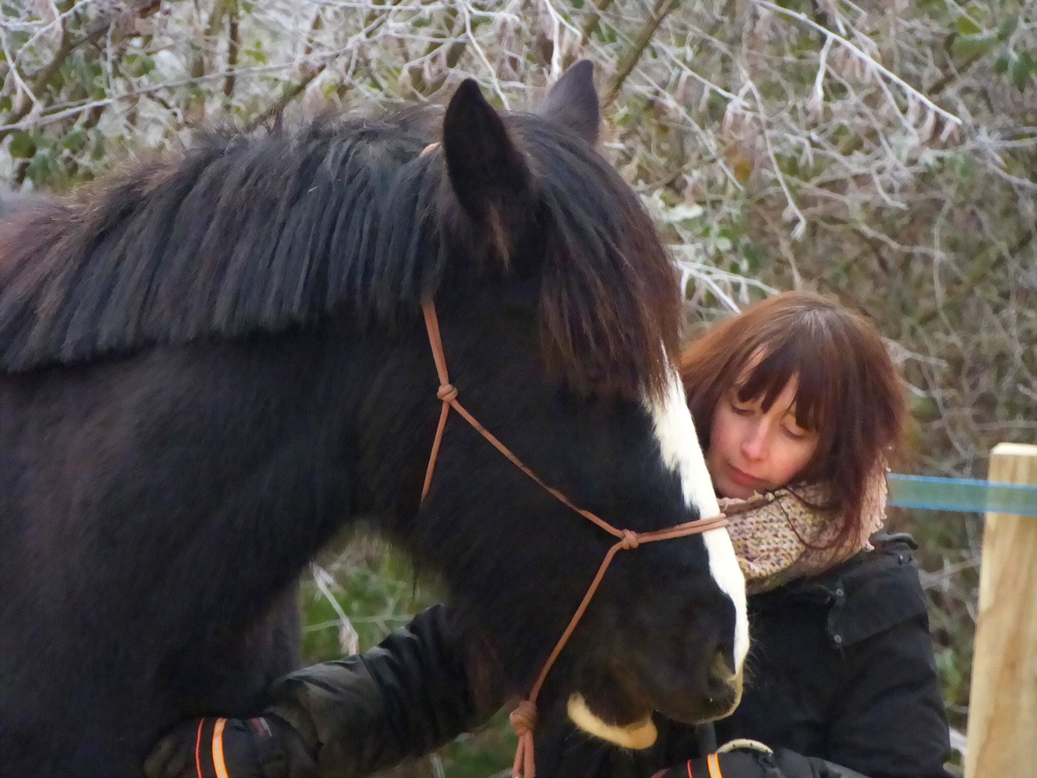 Capucine équithérapie en seine et marne